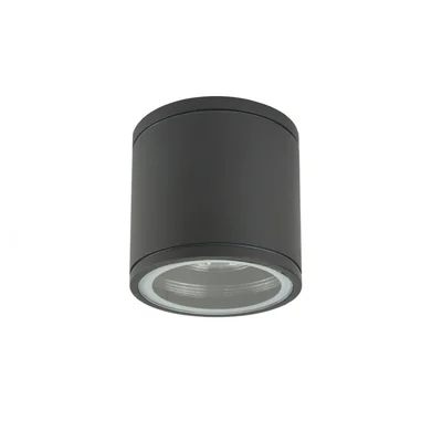 ADELA MIDI Lampa zewnętrzna sufitowa ciemny popiel