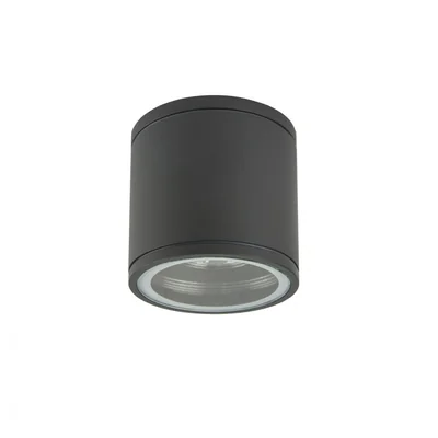 ADELA MIDI Lampa zewnętrzna sufitowa ciemny popiel