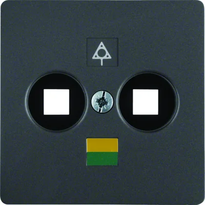 B.1/B.3/B.7 Płytka centralna do gniazda wyrównania potencjału antracytowa