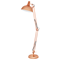Borgillio Lampa podłogowa miedź
