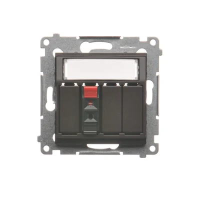 Gniazdo głośnikowe 1-krotne z polem opisowym (moduł)