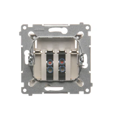 Gniazdo głośnikowe 2-krotne z polem opisowym (moduł) złoty (metalik)