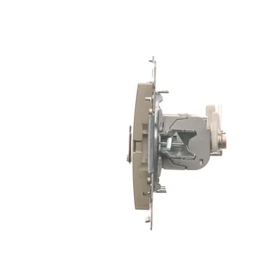 Gniazdo komputerowe podwójne RJ45 kategoria 6 ekranowane z przesłoną przeciwkurzową (moduł) złoty (metalik)