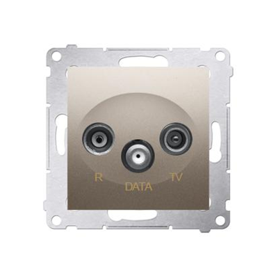 Gniazdo R-TV-DATA (moduł) złoty (metalik)