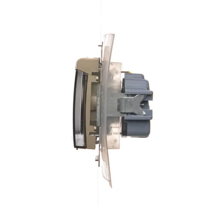 Gniazdo Schuko do wersji IP44 z przeslonami z uszczelką ramki (moduł) 230V, złoty metalik