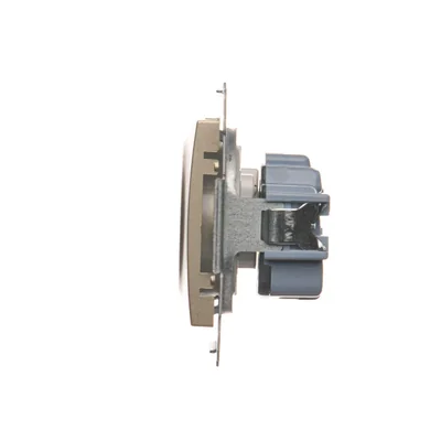 Gniazdo wtyczkowe bez uziemienia z przesłonami (moduł) 16A 250V zaciski śrubowe złoty (metalik)