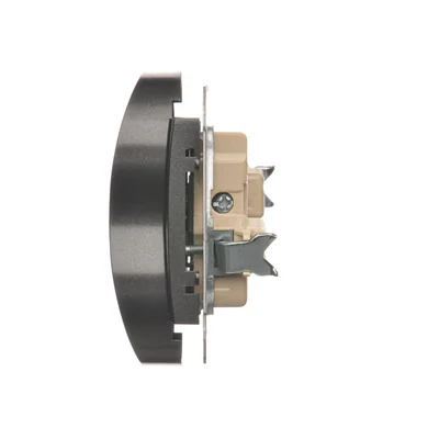 Gniazdo wtyczkowe podwójne do ramek nature  230V, antracyt metalik