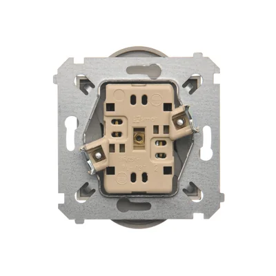 Gniazdo wtyczkowe podwójne do ramek nature  230V, złoty metalik