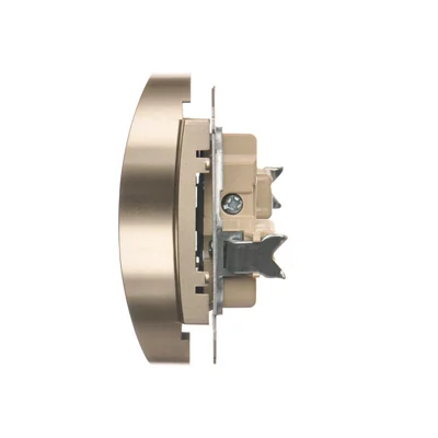 Gniazdo wtyczkowe podwójne do ramek nature  230V, złoty metalik