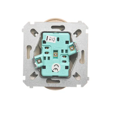 Gniazdo wtyczkowe podwójne (moduł) , 230V, beżowe