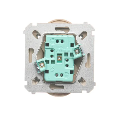 Gniazdo wtyczkowe podwójne z uziemieniem (moduł), 16A, 230V, zaciski śrubowe, beż