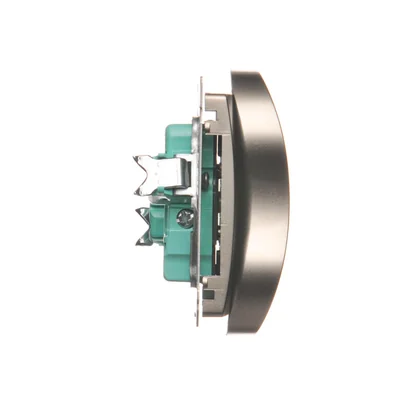 Gniazdo wtyczkowe podwójne z uziemieniem (moduł), z przesłonami torów prądowych, 16A, 230V, zaciski śrubowe, satyna (metalik)