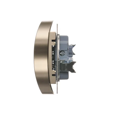 Gniazdo wtyczkowe podwójne z uziemieniem z przesłonami (moduł) 16A 250V zaciski śrubowe złoty (metalik)