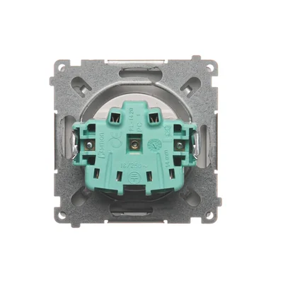 Gniazdo wtyczkowe z uziemieniem (moduł), , 230V, inox metalik