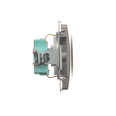 Gniazdo wtyczkowe z uziemieniem Schuko (moduł), 230V, inox metalik