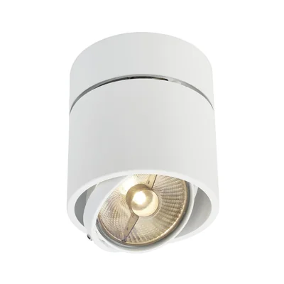 Kardamod SURFACE ROUND ES111 SINGLE sufitowa