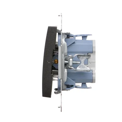 Łącznik dwubiegunowy (moduł) 10A, 250V, szybkozłącza, antracyt (metalik)