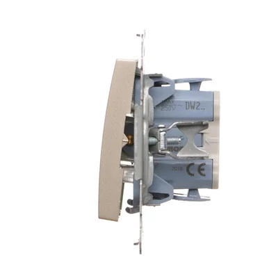 Łącznik dwubiegunowy (moduł) 10A, 250V, szybkozłącza, złoty (metalik)