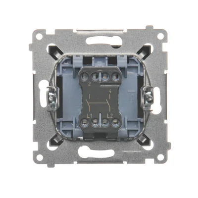 Łącznik dwubiegunowy (moduł) 16A, 250V, zaciski śrubowe, antracyt (metalik)