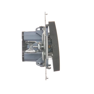 Łącznik dwubiegunowy (moduł) 16A, 250V, zaciski śrubowe, antracyt (metalik)