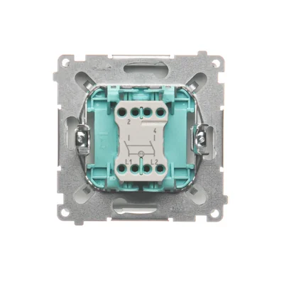 Łącznik dwubiegunowy z podświetleniem (moduł), 10A, 250V, zaciski śrubowe, biały