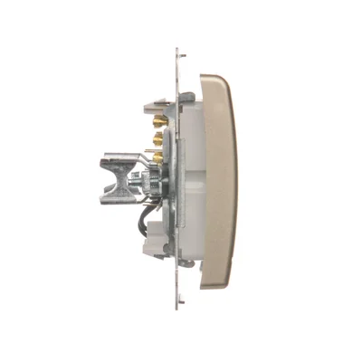 Łącznik hotelowy podwójny -2Z z podświetleniem. Prąd znamionowy 10A (moduł) złoty (metalik)