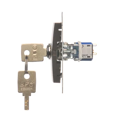 Łącznik na kluczyk jednobiegunowy (moduł) 2 pozycyjny styk N/O, 5 A, 250. , brąz matowy metalik