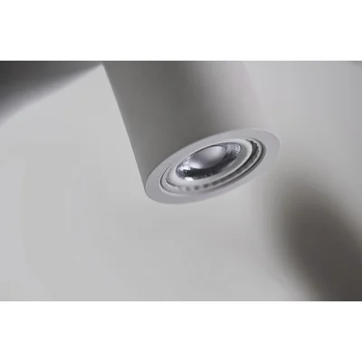 LINO Lampa sufitowa biała