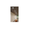 MINI BROSS Lampa sufitowa czarna