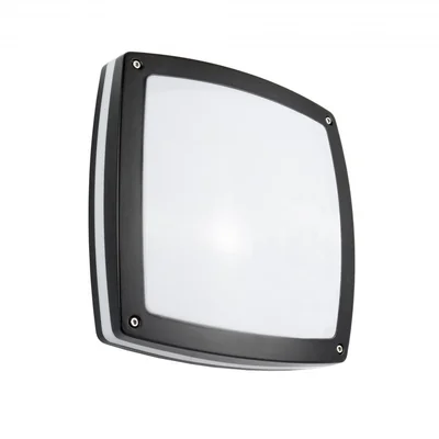 Nex Lampa zewnętrzna sufitowa czarna