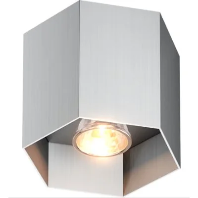 POLYGON CL 1 Lampa sufitowa szczotkowne aluminium