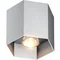 POLYGON CL 1 Lampa sufitowa szczotkowne aluminium