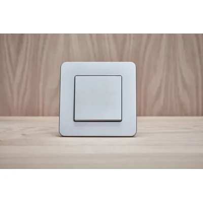 Q.1/Q.3 Klawisz do łącznika 1-klawiszowego aluminium
