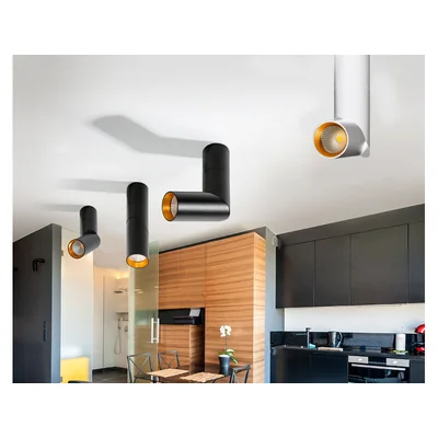 SANTOS Lampa ścienno-sufitowa biała