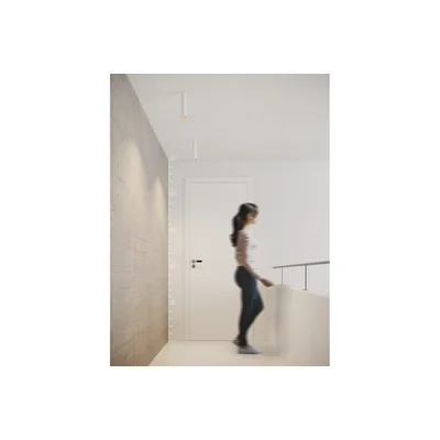 SANTOS Lampa sufitowa biała