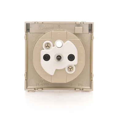 SIMON 54 Pokrywa gniazda do wersji IP44 z przesłonami złoty mat z klapką transparentną