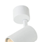 TUKA BIANCO Lampa ścienno-sufitowa biała